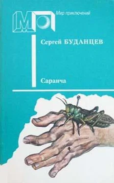 Сергей Буданцев Саранча обложка книги