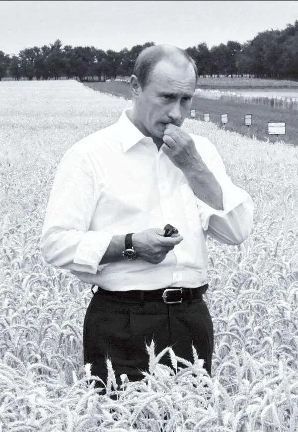 Владимир Путин на выставке День российского поля2007 РостовнаДону 30 - фото 34