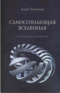 Амит Госвами Самосознающая вселенная. Как сознание создает материальный мир обложка книги