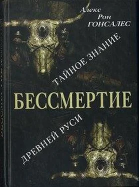 Алекс Гонсалес Бессмертие. Тайное знание Древней Руси обложка книги