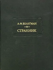 Александр Вельтман - Илья Ларин