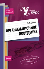 Владимир Спивак - Организационное поведение - учебное пособие