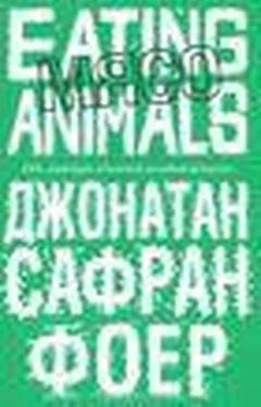 Джонатан Фоер Мясо. Eating Animals обложка книги