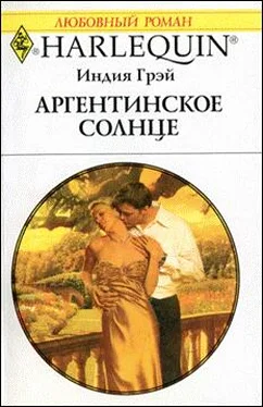 Индия Грэй Аргентинское солнце обложка книги