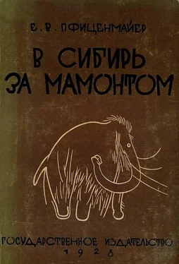 Евгений Пфиценмайер В сибирь за мамонтом. Очерки из путешествия в Северо-Восточную Сибирь обложка книги