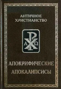 Неизвестный Автор Апокрифические апокалипсисы обложка книги