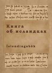 Ари - Книга об исландцах