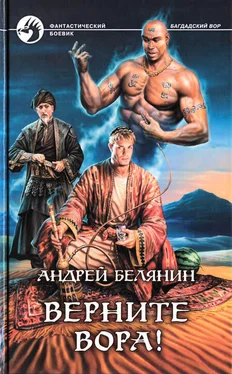 Андрей Белянин Верните вора! обложка книги