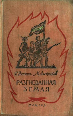 Евгения Яхнина Разгневанная земля обложка книги