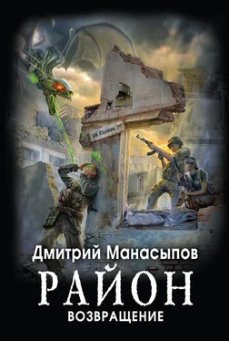 Дмитрий Манасыпов Возвращение обложка книги