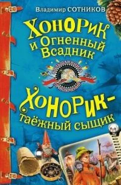 Владимир Сотников Хонорик и Огненный Всадник обложка книги