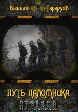 Василий Тараруев Путь паломника обложка книги