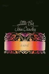 John Crowley - Little, Big