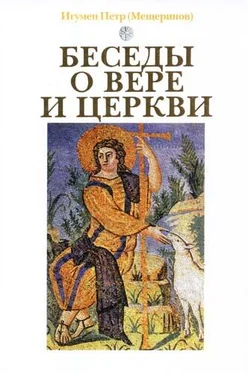 Игумен Петр (Мещеринов) Беседы о вере и церкви обложка книги