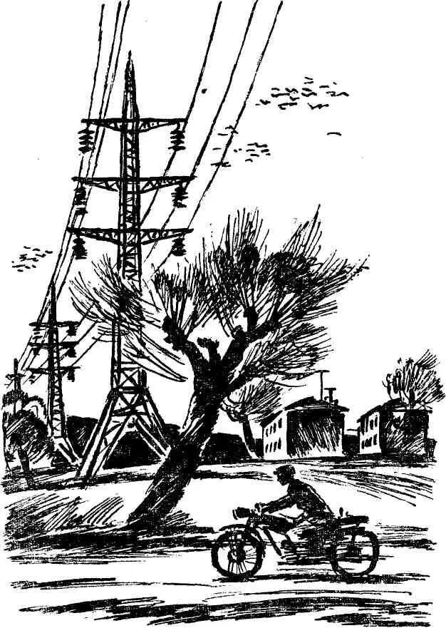 Бабкин свернул с асфальта в тишину сонной улицы поселка Здесь блестели тусклые - фото 13