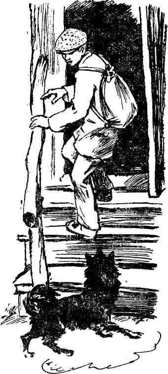 На крыльце на высоких ступеньках отбивался ногой от Жучки маленький пыльный - фото 16