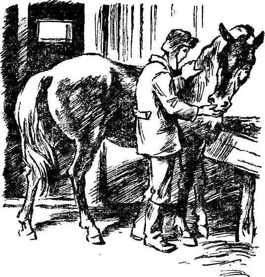 Не надо засмеялся паренек Марья Ивановна зашагала домой наказав Павлуне - фото 36