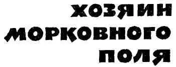 ПАХАРИ Весенним днем в совхозной библиотеке тихо и безлюдно Среди книг да - фото 4