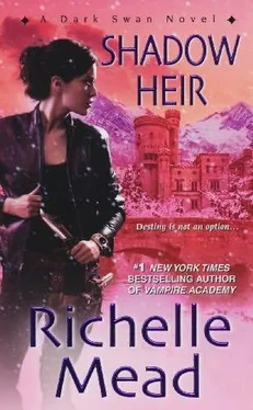 Richelle Mead Shadow Heir обложка книги