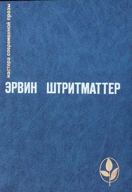 Эрвин Штритматтер Себе на утеху обложка книги