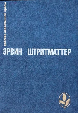 Эрвин Штритматтер Двое мужчин в одной телеге обложка книги