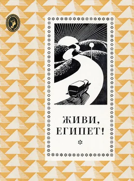 Махмуд Теймур Живи, Египет! обложка книги