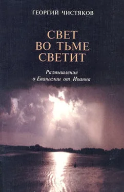 Священник Георгий Чистяков Свет во тьме светит. Размышление о Евангелии от Иоанна обложка книги