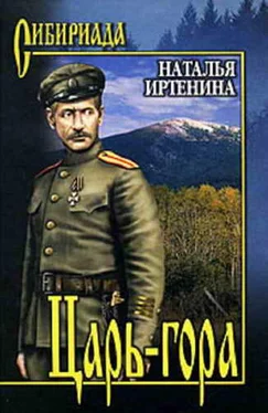 Наталья Иртенина Царь-гора обложка книги