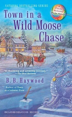 B. Haywood Town in a Wild Moose Chase обложка книги