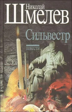Шмелёв Петрович Сильвестр обложка книги