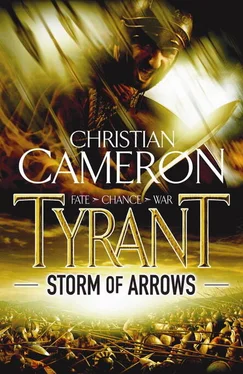 Christian Cameron Storm of arrows обложка книги