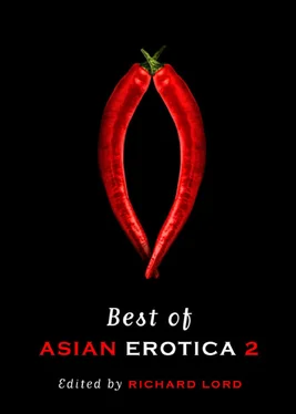 Richard Lord Best of Asian Erotica, Volume 2 обложка книги