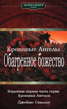 Джеймс Сваллоу Обагренное божество обложка книги