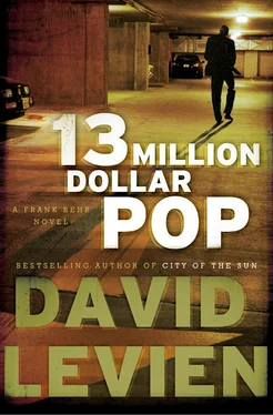 David Levien Thirteen Million Dollar Pop обложка книги