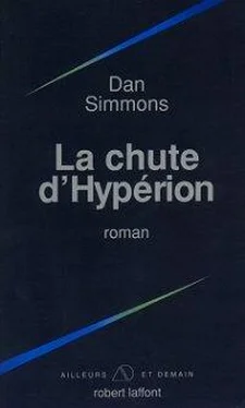 Dan Simmons La chute d'Hypérion обложка книги