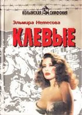 Эльмира Нетесова Клевые обложка книги