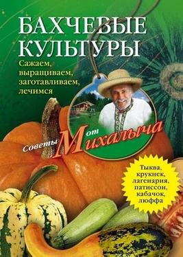 Николай Звонарев Бахчевые культуры. Сажаем, выращиваем, заготавливаем, лечимся обложка книги