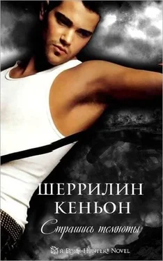 Шеррилин Кеньон Страшись Темноты обложка книги