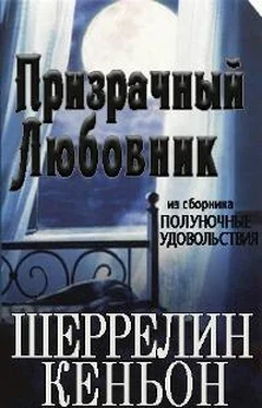 Шеррилин Кеньон Призрачный любовник обложка книги