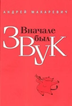 Андрей Макаревич Вначале был звук обложка книги