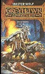 Rose Estes - Master Wolf