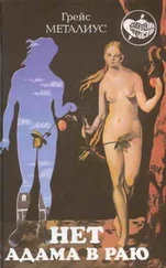 Энн Хэмпсон - Пикирующий орел