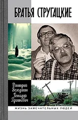 Дмитрий Володихин - Братья Стругацкие