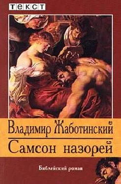 Владимир Жаботинский Самсон Назорей обложка книги