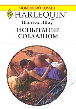 Шантель Шоу Испытание соблазном обложка книги