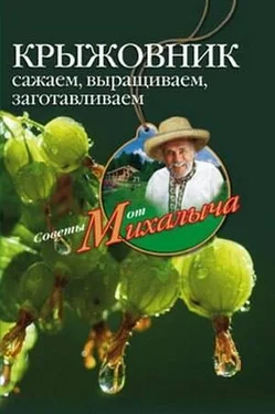 Николай Звонарев Крыжовник. Сажаем, выращиваем, заготавливаем обложка книги