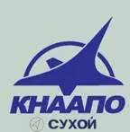 3 ОАО КнААПО ОАО Компания Сухой В 2008 г предприятие успешно - фото 11