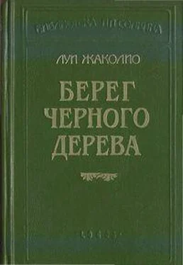 Луи Жаколио Берег черного дерева обложка книги