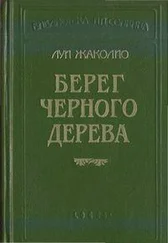 Луи Жаколио - Берег черного дерева