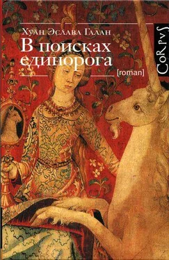 Хуан Эслава Галан В поисках единорога обложка книги